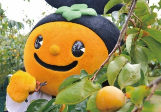 うきはフルーツ狩り