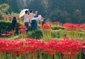棚田inうきは彼岸花めぐり＆ばさら祭り